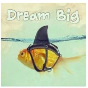 Meet your Posher, Diana